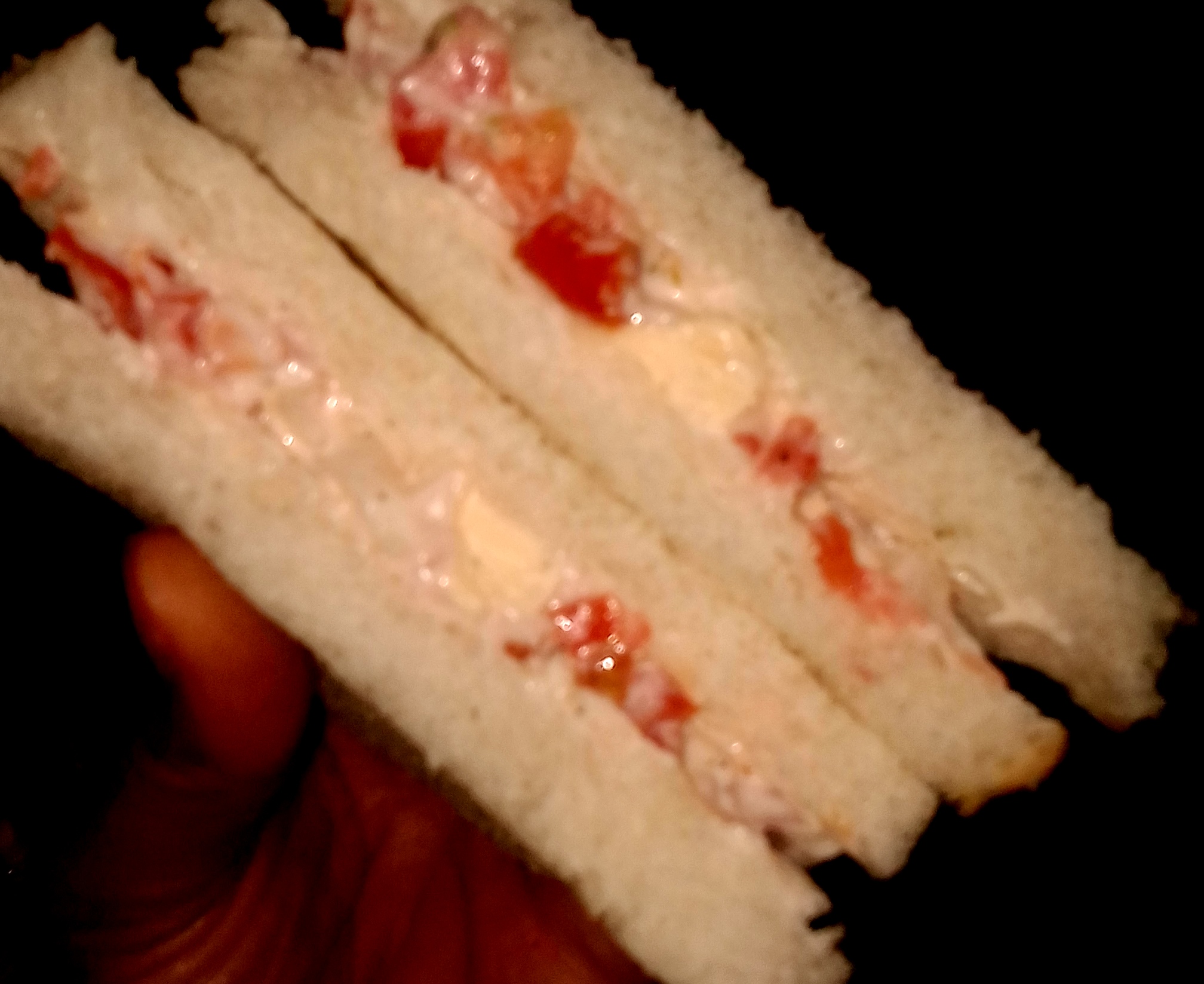 Grilled Mayonnaise Sandwich